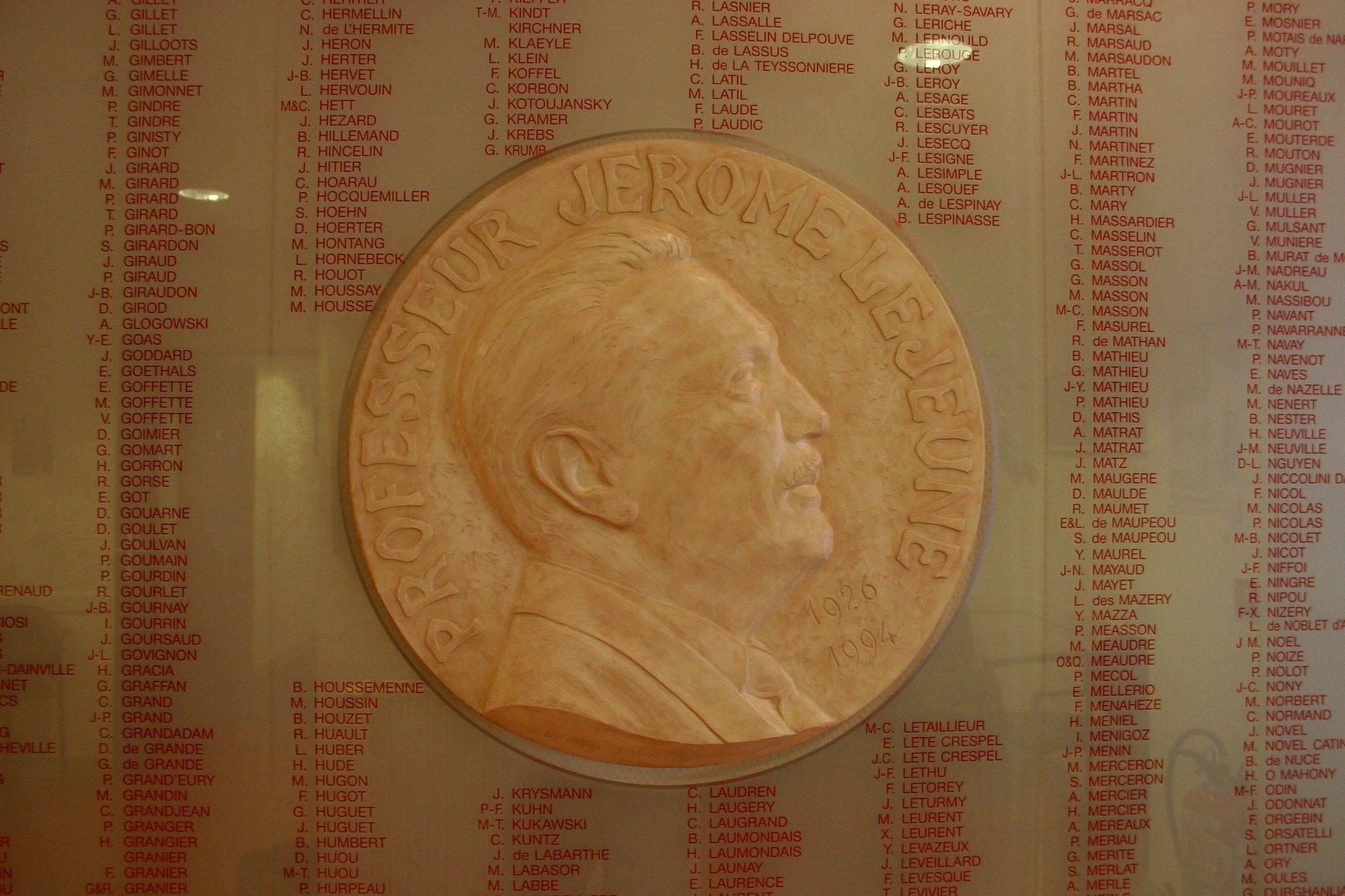 Jerome%20Lejeune%27s%20bas-relief%2C%20Fondation%20Lejeune%2C%20Paris%20-%2002.JPG
